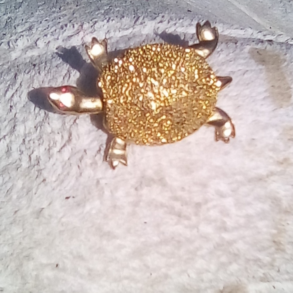 Gold tone 🐢